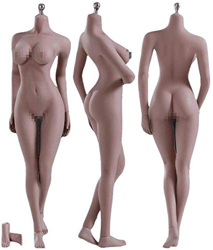 ZSMD 12 Inch Female Seamless Action Figures-Realistic Full Silicone Body Suntan Skin & Stainless Steel Skeleton-1/6 Scale Super Flexible Female Figure Dolls for Arts/Drawings/Photography (S12D) von ZSMD