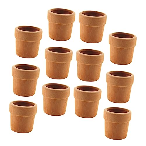 ZUNOXAZ 12 Stück Mini Flowerpot Modell Teiliges Niedliche Pflanzfigurine für Büro Dekoration Garten und Puppenhaus Gestaltung von ZUNOXAZ