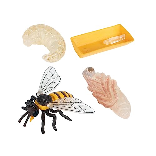 ZUNOXAZ 1Satz Bienenwachstumszyklus Spielzeugset Teiliges Pädagogisches Modell Für Fördert Kognitive Fähigkeiten Und Biologisches Verständnis Zur Frühkindlichen Bildung ZUNOXAZ 1Satz Bienenwachstumszyklus Spielzeugset Teiliges Pädagogisches Modell Für Fördert Kognitive Fähigkeiten Und Biologisches Verständnis Zur Frühkindlichen Bildung von ZUNOXAZ
