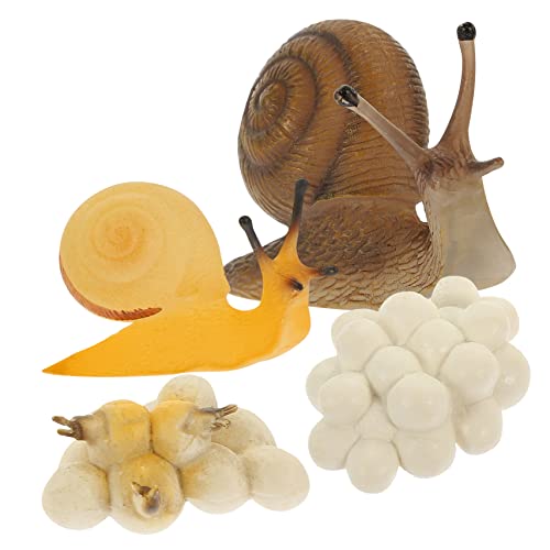ZUNOXAZ 1Satz Schneckenwachstumsmodell Kit für Pädagogisches Schneckenspielzeug mit Detailliertem Wachstumszyklus Simulierte Schneckenfiguren für Kognitive Spiele und Lehrmodelle von ZUNOXAZ