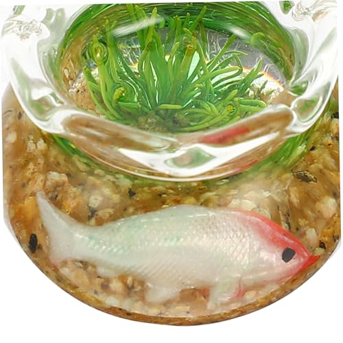 ZUNOXAZ 2 Miniatur Fischglas Aquarium Deko Mini Haus Zubehör Realistisch Gestaltete Miniaturdekoration für Puppenhäuser Garten Büro Balkon Nutzung Zufällige Farbe ZUNOXAZ 2 Miniatur Fischglas Aquarium Deko Mini Haus Zubehör Realistisch Gestaltete Miniaturdekoration für Puppenhäuser Garten Büro Balkon Nutzung Zufällige Farbe von ZUNOXAZ