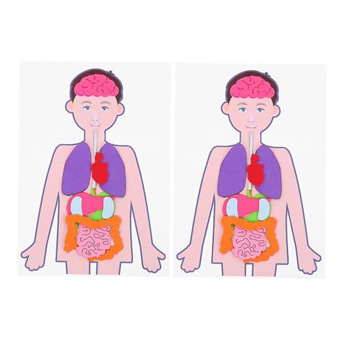 ZUNOXAZ 2 Sätze Lernspielzeug Menschlicher Torso Modell mit Organen Kognitives DIY zur Körpererkennung Interaktives Pädagogisches Lernspiel für Jungen und Mädchen von ZUNOXAZ