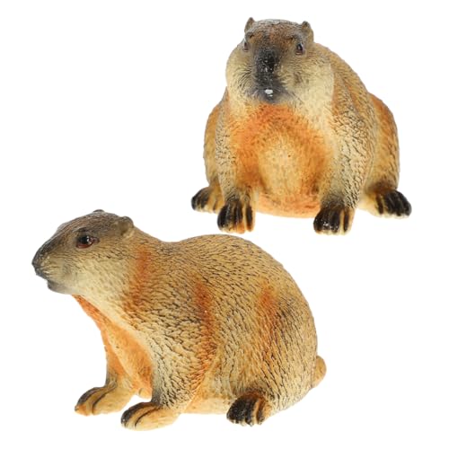 ZUNOXAZ 2 Stück Groundhog -Modell Simulationstiere Miniatur-Murmeltier-Figur Murmeltier Dekoration Murmeltier-Ornament Groundhog Craft Plastik ZUNOXAZ 2 Stück Groundhog -Modell Simulationstiere Miniatur-Murmeltier-Figur Murmeltier Dekoration Murmeltier-Ornament Groundhog Craft Plastik von ZUNOXAZ