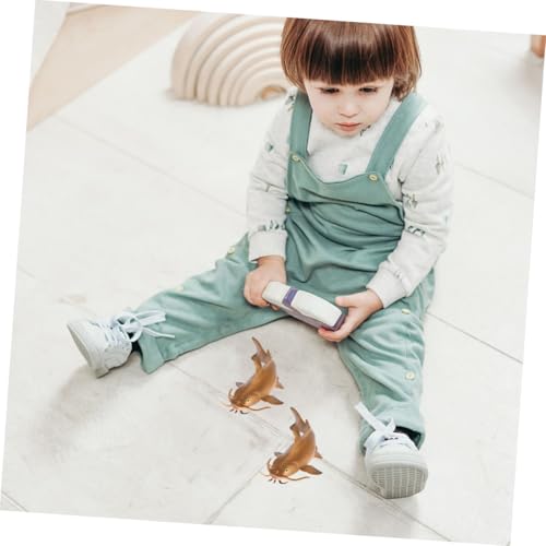 ZUNOXAZ 2 Stück Teiliges Plastisches Fischmodell Realistisches Catfish Ornament Kindgerechtes Lernspielzeug für Frühpädagogik Tischdekoration und Naturerziehung Sicher und Robust von ZUNOXAZ