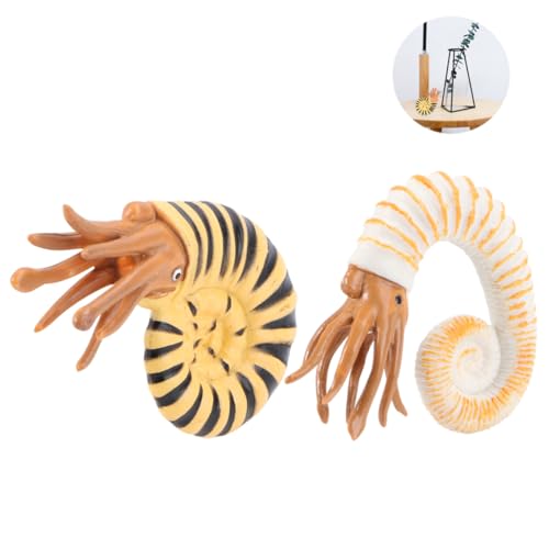 ZUNOXAZ 2 Stück Teiliges Schneckenmodell aus Langlebigem Kunststoff Realistische Meeresbewohner Figur für Kinderzimmerdekoration Lernspielzeug und Geschenk für Junge Mädchen ZUNOXAZ 2 Stück Teiliges Schneckenmodell aus Langlebigem Kunststoff Realistische Meeresbewohner Figur für Kinderzimmerdekoration Lernspielzeug und Geschenk für Junge Mädchen von ZUNOXAZ