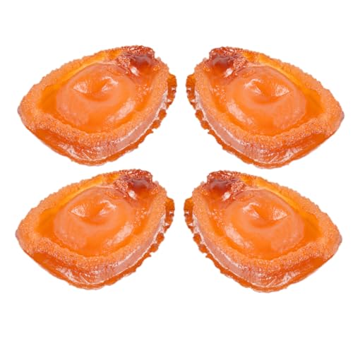 ZUNOXAZ 4 Stück Teiliges Abalone Modell aus PVC Realistische Simulation Detailgetreue Meeresfrüchte Deko Leicht und Kompakt Geeignet als Restaurant Hotel und Museumsrequisiten Sowie von ZUNOXAZ