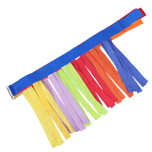 ZUNOXAZ 5 Stück Catch Tail Spielgurt für Kindergarten Fördert Motorische Fähigkeiten Soziale Interaktion Bunte Gürtel für Outdoor Aktivitäten und Partys von ZUNOXAZ