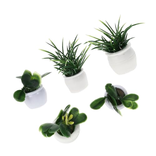ZUNOXAZ 5 Stück Mini Pflanzen Bonsai Teilig Künstliche Pflanzen für Puppenhaus und Mikrolandschaften Pflegeleichte Dekoration für Miniaturhäuser und Schreibtische Lebensnahe von ZUNOXAZ