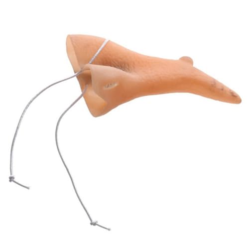 ZUNOXAZ 6 Stück Teiliges Halloween Hexennasen Lustige Hexennase Cosplay Accessoires Leichtes Kostümzubehör für Halloween Party Verkleidung und Karneval Angenehm zu Tragen ZUNOXAZ 6 Stück Teiliges Halloween Hexennasen Lustige Hexennase Cosplay Accessoires Leichtes Kostümzubehör für Halloween Party Verkleidung und Karneval Angenehm zu Tragen von ZUNOXAZ