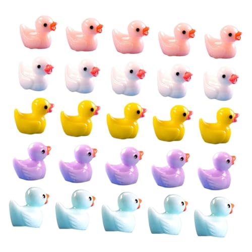 ZUNOXAZ 60 Stück Teiliges Resin Miniatur mit Bunten Enten Fein Strukturierte Mikro Bonsai Dekoration Vielseitig für Garten Fotografie Requisiten und DIY Geeignet von ZUNOXAZ