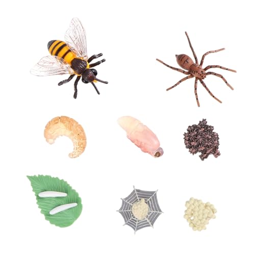 ZUNOXAZ 8 Stück Teiliges Insekten Evolutionsmodell Spielzeugset mit Biene und Spinne Pädagogisches Kunststoffmodell für Realistische Wachstumszyklus Dekoration und Lernspielzeug von ZUNOXAZ