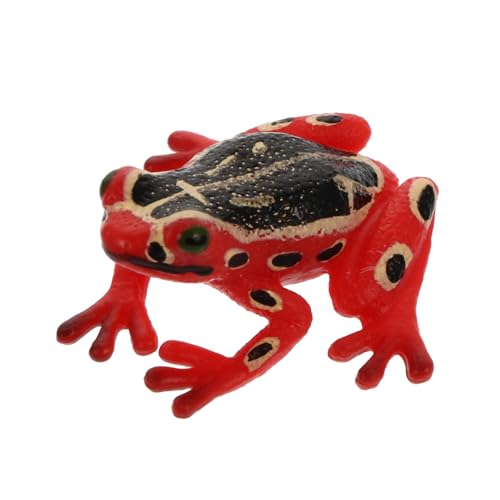ZUNOXAZ Bildungsmodell Tier Realistische Frosch Figur für Lernen Deko und Sammlungen Naturerlebnis und Kreative ZUNOXAZ Bildungsmodell Tier Realistische Frosch Figur für Lernen Deko und Sammlungen Naturerlebnis und Kreative von ZUNOXAZ
