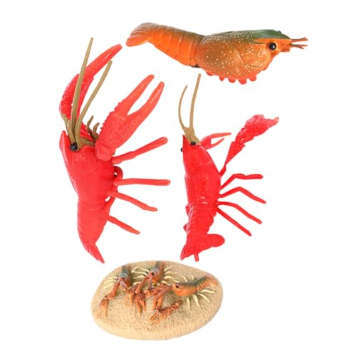 ZUNOXAZ Crayfish Wachstumszyklus Modellset Langlebige Realistische Flusskrebs Figuren Edukatives Lernspielzeug für Ab Jahren Naturgetreue Nachbildung Biologischer Entwicklung ZUNOXAZ Crayfish Wachstumszyklus Modellset Langlebige Realistische Flusskrebs Figuren Edukatives Lernspielzeug für Ab Jahren Naturgetreue Nachbildung Biologischer Entwicklung von ZUNOXAZ