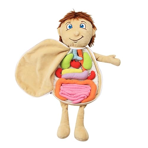ZUNOXAZ Educational Organ Plush Toy Körperpuzzle Lernspiel Modell Pädagogisch Weiches Stoffspielzeug Jungen Mädchen Unterricht Helfer Geburtstagsgeschenk von ZUNOXAZ