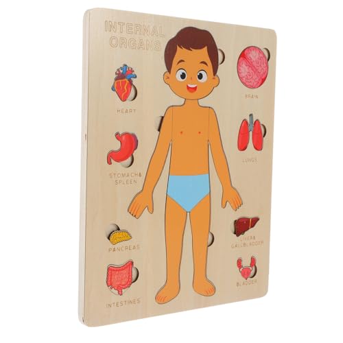 ZUNOXAZ Kinderspiel Holzpuzzle Human Organs mit Abnehmbaren Organen Lernspielzeug für Jungen und Mädchen zur Gedächtnis und Körperkenntnis von ZUNOXAZ