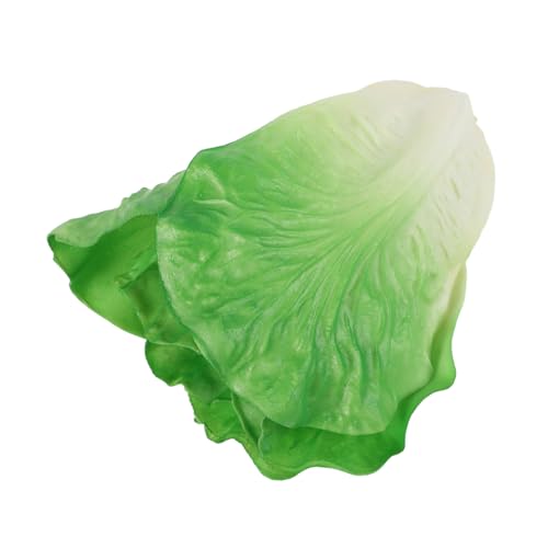 ZUNOXAZ Künstlicher Salat Simulation Gemüsemodell Lebensechter Salatschmuck Simulationssalatmodelle Dekorativer Salat Künstlicher Künstliches Gemüse Falscher Salat Gemüsestütze PVC von ZUNOXAZ