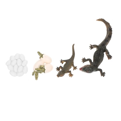 ZUNOXAZ Lebenszyklus Krokodil Modell Pädagogisches Wachstum Zyklus Figurine Frühpädagogik Tierfiguren Lernspielzeug Naturexploration Geschenk ZUNOXAZ Lebenszyklus Krokodil Modell Pädagogisches Wachstum Zyklus Figurine Frühpädagogik Tierfiguren Lernspielzeug Naturexploration Geschenk von ZUNOXAZ