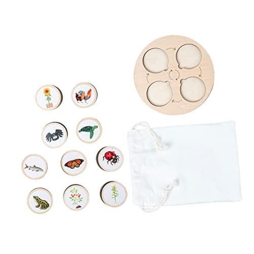 ZUNOXAZ Lebenszyklus Tierfiguren mit Holztablett Pädagogisches Wachstum Modellspielzeug Realistische Biologische Tier und Pflanzenentwicklung Tragbar für Schule und Zuhause Lernspielzeug ZUNOXAZ Lebenszyklus Tierfiguren mit Holztablett Pädagogisches Wachstum Modellspielzeug Realistische Biologische Tier und Pflanzenentwicklung Tragbar für Schule und Zuhause Lernspielzeug von ZUNOXAZ