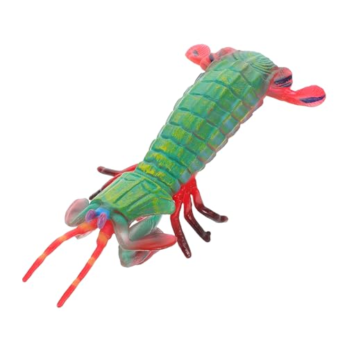ZUNOXAZ Meerestiermodell künstliches Garnelenfiguren simuliertes Tier Künstliches Garnelen-Ausstellungsmodell realistische Tierfiguren Kinderspielzeug Plastik Grün ZUNOXAZ Meerestiermodell künstliches Garnelenfiguren simuliertes Tier Künstliches Garnelen-Ausstellungsmodell realistische Tierfiguren Kinderspielzeug Plastik Grün von ZUNOXAZ