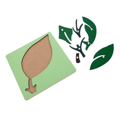 ZUNOXAZ Montessori Pflanzen Lernspielzeug Brett Aktivitätsbrett für Kleinkinder Frühförderung Feinmotorik Beobachtung Logisches Denken Montessori Ab Jahre von ZUNOXAZ