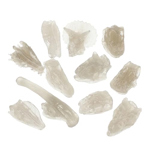 ZUNOXAZ Noctiluzente Dinosaurier Knochen Modell PVC Dinosaurier Schädelfigur Lernspielzeug Realistisch Sicher Langlebig für Themenpartys und Geschenke ZUNOXAZ Noctiluzente Dinosaurier Knochen Modell PVC Dinosaurier Schädelfigur Lernspielzeug Realistisch Sicher Langlebig für Themenpartys und Geschenke von ZUNOXAZ