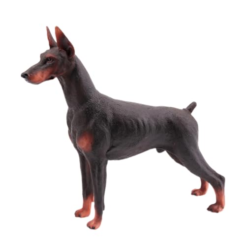 ZUNOXAZ Realistische Dobermann Figur Lebensecht Gestaltetes Modell Verarbeitung Dekorativ für Zuhause Büro Auto für Hundeliebhaber Detailreiche Tischdekoration von ZUNOXAZ