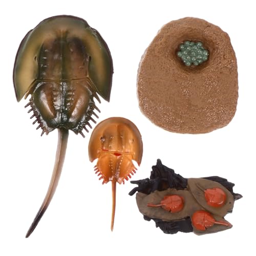 ZUNOXAZ Realistische Mini Meerestiere Figuren Pädagogisches für Simuliert Lebenszyklus Kreaturen Umweltfreundlich als und Dekorationsspielzeug ZUNOXAZ Realistische Mini Meerestiere Figuren Pädagogisches für Simuliert Lebenszyklus Kreaturen Umweltfreundlich als und Dekorationsspielzeug von ZUNOXAZ