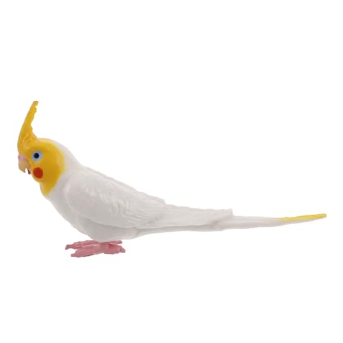 ZUNOXAZ Realistische Nymphensittich Figur aus Hochwertigem Material Detailgetreue Statische Papageien Dekoration für Garten und Wohnzimmer Wetterfestes Deko Vogelmodell für Outdoor und von ZUNOXAZ