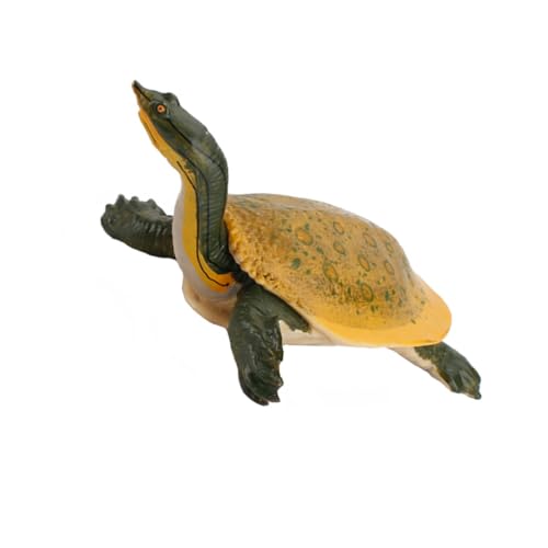 ZUNOXAZ Realistische Simulation Schildkrötenfigur aus Langlebigem Material Korrosionsbeständig und Stoßfest Dekoratives Modell für Lernspielzeug und Sammelobjekt für Aquarium und von ZUNOXAZ