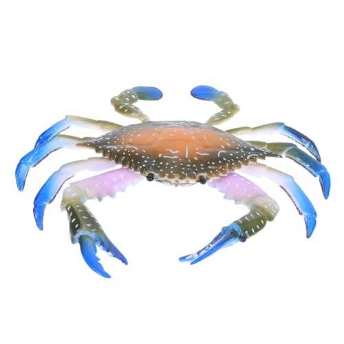 ZUNOXAZ Realistisches Farbiges Krabbenmodell aus Kunststoff Pädagogisches und Dekoratives Büroaccessoire Kleines Meerestier für Kreative Unterwasserfigur als ZUNOXAZ Realistisches Farbiges Krabbenmodell aus Kunststoff Pädagogisches und Dekoratives Büroaccessoire Kleines Meerestier für Kreative Unterwasserfigur als von ZUNOXAZ