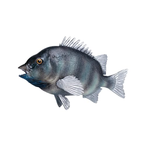 ZUNOXAZ Realistisches Fischmodell Meeresbewohner Simulation Tierfigur Kunststoff Lernspielzeug Aquarium Dekoration von ZUNOXAZ