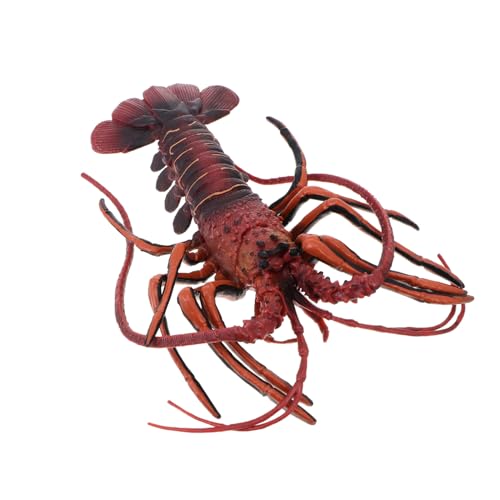 ZUNOXAZ Realistisches Hummer Modell Aquarium Deko Meerestier Figur Lernspielzeug Feine Details Rote Nachbildung für Haus Büro Restaurant Dekoration von ZUNOXAZ