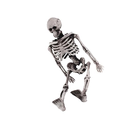 ZUNOXAZ Realistisches Kleines Skelett Deko Modell Langlebige Halloween Prank Requisite Robustes Miniatur Knochengerüst für Halloween Party und Gruselige Dekorationen von ZUNOXAZ
