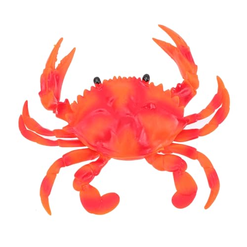 ZUNOXAZ Realistisches Krabbenmodell Meerestier Lernspielzeug Aquarium Dekoration Natürliche Oberfläche Feine Details ZUNOXAZ Realistisches Krabbenmodell Meerestier Lernspielzeug Aquarium Dekoration Natürliche Oberfläche Feine Details von ZUNOXAZ