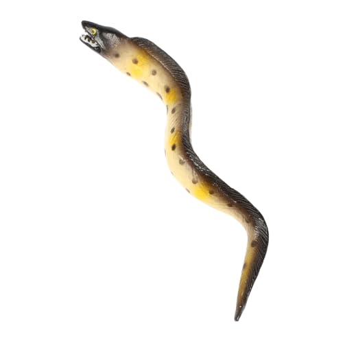 ZUNOXAZ Realistisches Künstliches Meeresaal Modell aus Lernspielzeug für Pädagogisches für Meeresbiologie Dekoratives Wasserspielzeug für Jungen und Mädchen ZUNOXAZ Realistisches Künstliches Meeresaal Modell aus Lernspielzeug für Pädagogisches für Meeresbiologie Dekoratives Wasserspielzeug für Jungen und Mädchen von ZUNOXAZ