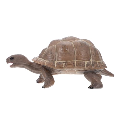 ZUNOXAZ Realistisches Kunststoff Schildkrötenmodell Solides Tierspielzeug Pädagogisches Dekorationsobjekt für Zuhause Büro und Lernzwecke Langlebiges Kunststoff Tiermodell ZUNOXAZ Realistisches Kunststoff Schildkrötenmodell Solides Tierspielzeug Pädagogisches Dekorationsobjekt für Zuhause Büro und Lernzwecke Langlebiges Kunststoff Tiermodell von ZUNOXAZ