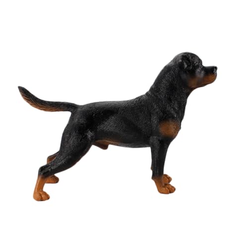 ZUNOXAZ Realistisches Rottweiler Hundemodell aus Kunststoff Festes Simulationstier Kognitives Lernspielzeug und Dekorative Figur für Wohnraum Robust und Geruchsfrei ZUNOXAZ Realistisches Rottweiler Hundemodell aus Kunststoff Festes Simulationstier Kognitives Lernspielzeug und Dekorative Figur für Wohnraum Robust und Geruchsfrei von ZUNOXAZ