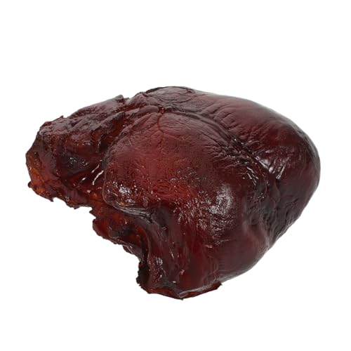 ZUNOXAZ Realistisches Schweineherz Modell Simulation Food Dekoration Langlebig Detailgetreu Küchen Deko Restaurant Fotorequisite Zubehör ZUNOXAZ Realistisches Schweineherz Modell Simulation Food Dekoration Langlebig Detailgetreu Küchen Deko Restaurant Fotorequisite Zubehör von ZUNOXAZ