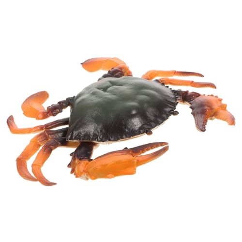 ZUNOXAZ Simulation Krabbenmodell aus Geruchlosem Pädagogisches Kinderspielzeug zur Kognitiven Dekoratives Meeres tiermodell für Jungen und Mädchen Tragbar und Sicher ZUNOXAZ Simulation Krabbenmodell aus Geruchlosem Pädagogisches Kinderspielzeug zur Kognitiven Dekoratives Meeres tiermodell für Jungen und Mädchen Tragbar und Sicher von ZUNOXAZ