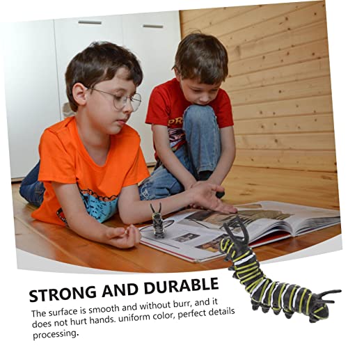 ZUNOXAZ Simulation Raupe Modell Lernspielzeug aus Robustem Kunststoff Pädagogisches Tiermodell für Realistische Nachbildung zur Ausstellung und Spielerischen Bildung Vielseitig als von ZUNOXAZ