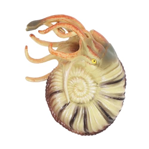 ZUNOXAZ Simuliertes Nautilus Modell aus Hochwertigem Detailgetreues Meeres Tier Ornament für Aquarium Dekoration und Wohnraumgestaltung Langlebiges Tiermodell für Sammler ZUNOXAZ Simuliertes Nautilus Modell aus Hochwertigem Detailgetreues Meeres Tier Ornament für Aquarium Dekoration und Wohnraumgestaltung Langlebiges Tiermodell für Sammler von ZUNOXAZ