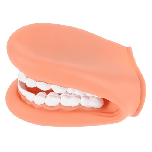ZUNOXAZ Standard Dentalzahnmodell mit Realistischer Gestaltung Pädagogisches Gebiss für Kinderzahnpflege Vielseitiges Mundmodell für Kindergarten Schule und Zahnarztkommunikation ZUNOXAZ Standard Dentalzahnmodell mit Realistischer Gestaltung Pädagogisches Gebiss für Kinderzahnpflege Vielseitiges Mundmodell für Kindergarten Schule und Zahnarztkommunikation von ZUNOXAZ