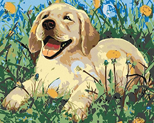ZUTY 1534212, Malen nach Zahlen-HUNDEWELPE IM LÖWENZAHN 80x100 cm ohne Keilrahmen ZUTY 1534212, Malen nach Zahlen-HUNDEWELPE IM LÖWENZAHN 80x100 cm ohne Keilrahmen von ZUTY