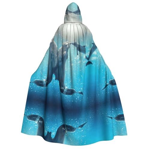 ZWLPNZZD Umhang mit Kapuze (Winter der Delfin), lang und bequem, für Halloween, Rollenspiele, Party, Cosplay, Herren und Damen von ZWLPNZZD