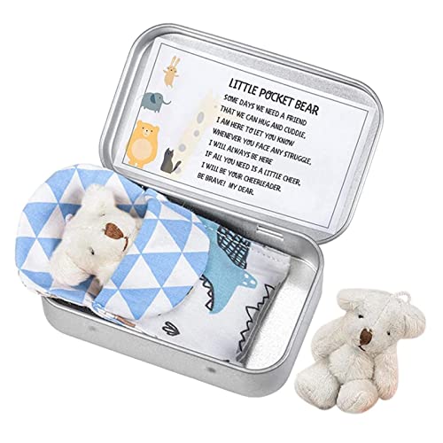 ZXCVWWE Little Pocket Bear Dose – Bequemer kleiner Teddybär in Box – Kleiner Bärenspielzeug, gefüllt, winzig, weiche Bärenpuppe, Spielzeug für Jungen und Mädchen, Geburtstagskuchen, von ZXCVWWE