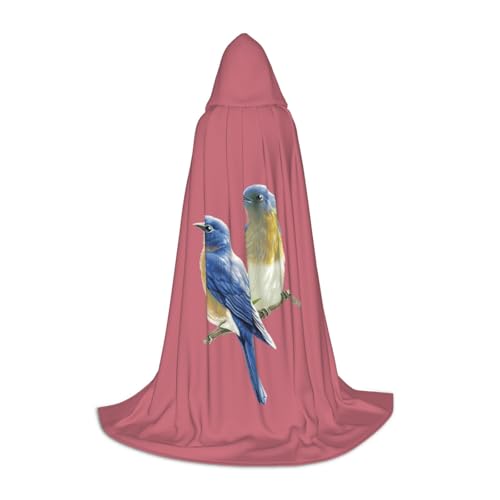 ZXERTG Kapuzenumhang mit zwei Vögeln für Halloween-Kostüme, perfekt für Zauberer, Vampir, Sensenmann und Cosplay ZXERTG Kapuzenumhang mit zwei Vögeln für Halloween-Kostüme, perfekt für Zauberer, Vampir, Sensenmann und Cosplay von ZXERTG