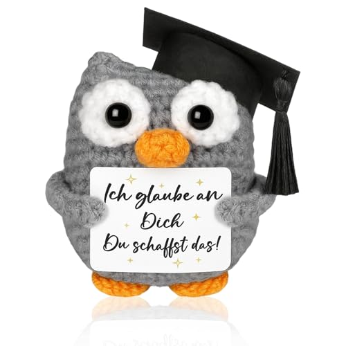 ZXJLWR 8.5 cm Hoch Motivationsgeschenke, Glücksbringer Prüfung, Viel Glück Geschenke, Eule Kuscheltier, Ich Bin Stolz Auf Dich Geschenk, Weiterführende Schule Geschenk ZXJLWR 8.5 cm Hoch Motivationsgeschenke, Glücksbringer Prüfung, Viel Glück Geschenke, Eule Kuscheltier, Ich Bin Stolz Auf Dich Geschenk, Weiterführende Schule Geschenk von ZXJLWR