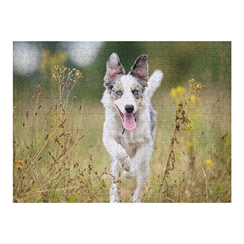 Tierpuzzle 500 Teile Hundemuster Erwachsene Puzzles Puzzle Geschenke Familienaktivität, für Frauen Männer von ZXLLO