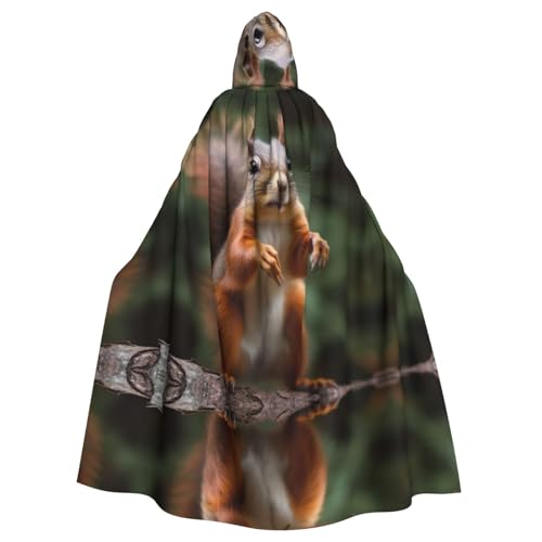 ZXMDZTSS Lustiges Tier-Eichhörnchen-Druck, Halloween-Kapuzenumhang für Erwachsene, Volldruck, Party-Kostüm, Bindeverschluss, Polyester von ZXMDZTSS