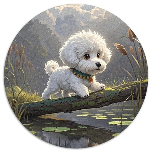 Bichon Frise 1000 Teile Rundes Puzzle Stressabbau Hund Jigsaw Geschenk Unmögliches Spiel Für Die Ganze Familie 1000pcs (67.5x67.5cm) von ZXOAWQX